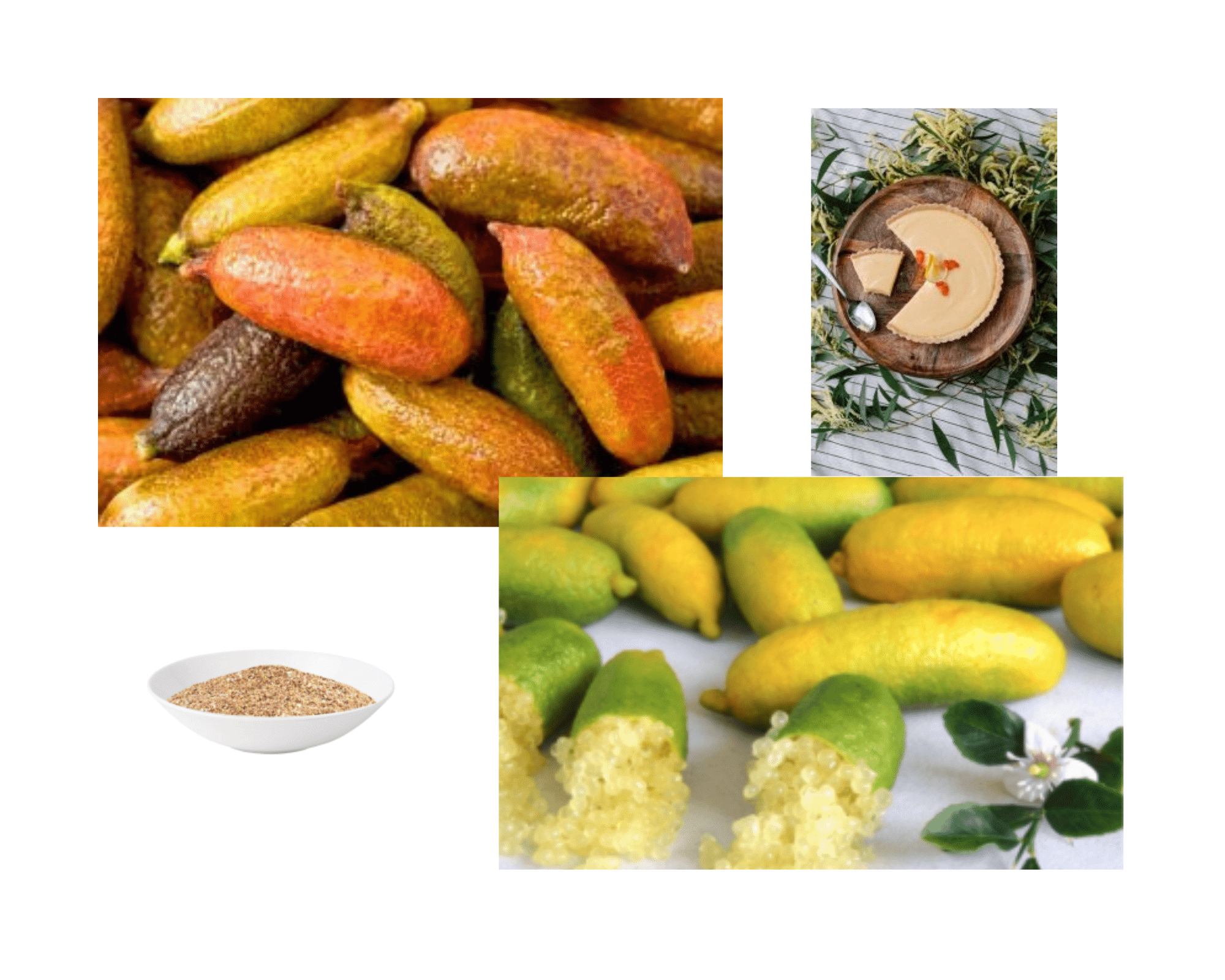 Freeze Dried Finger Lime - 250g