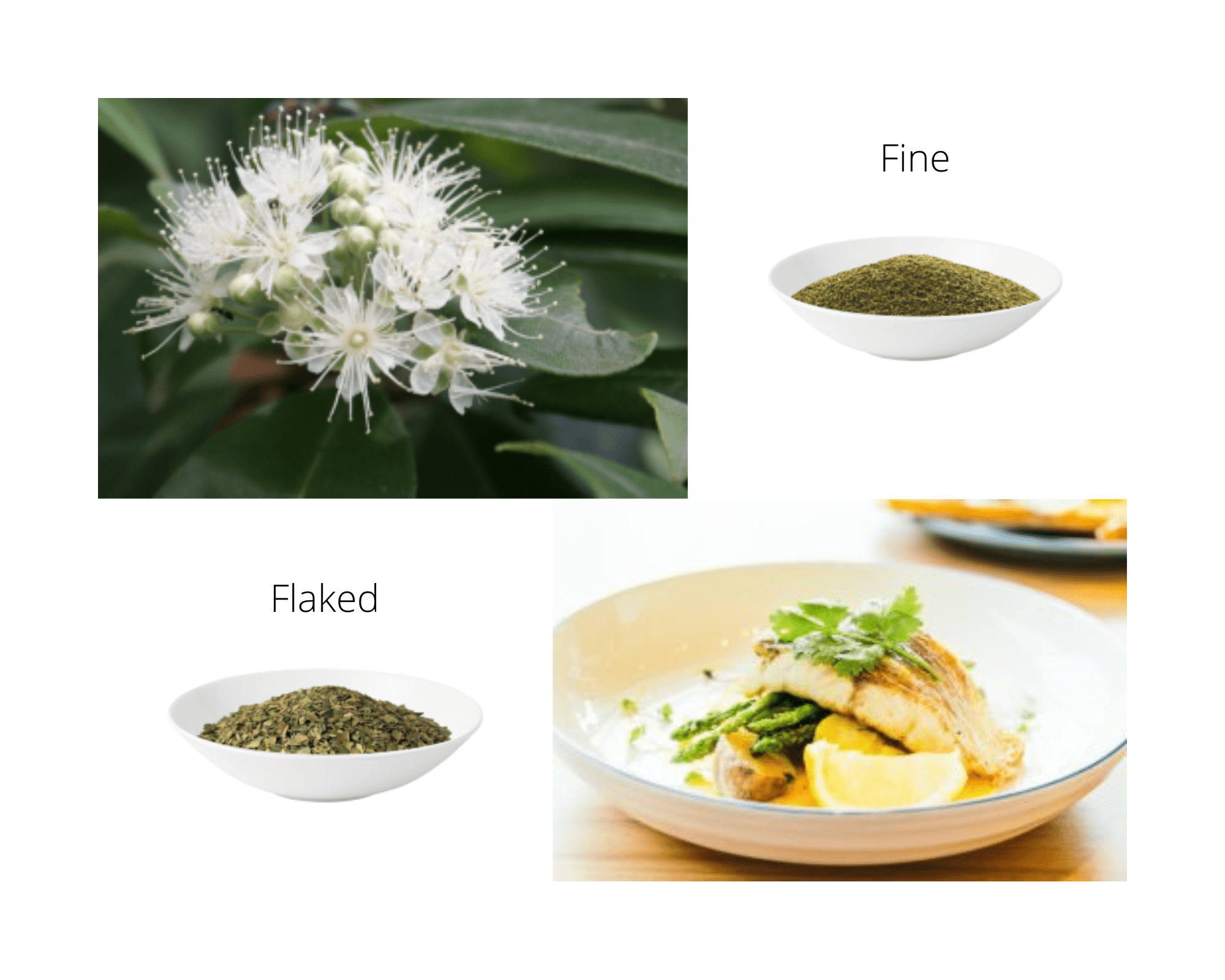 Fine Lemon Myrtle - 1kg