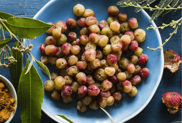 Freeze Dried Muntries - 20g