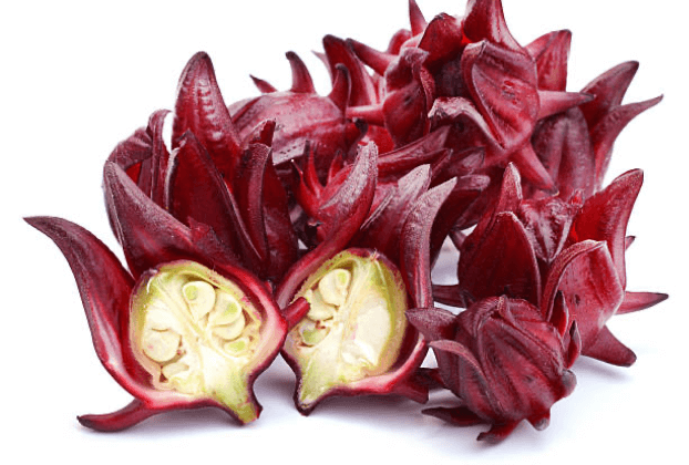 Rosella Native Syrup 1:2 - 50ml