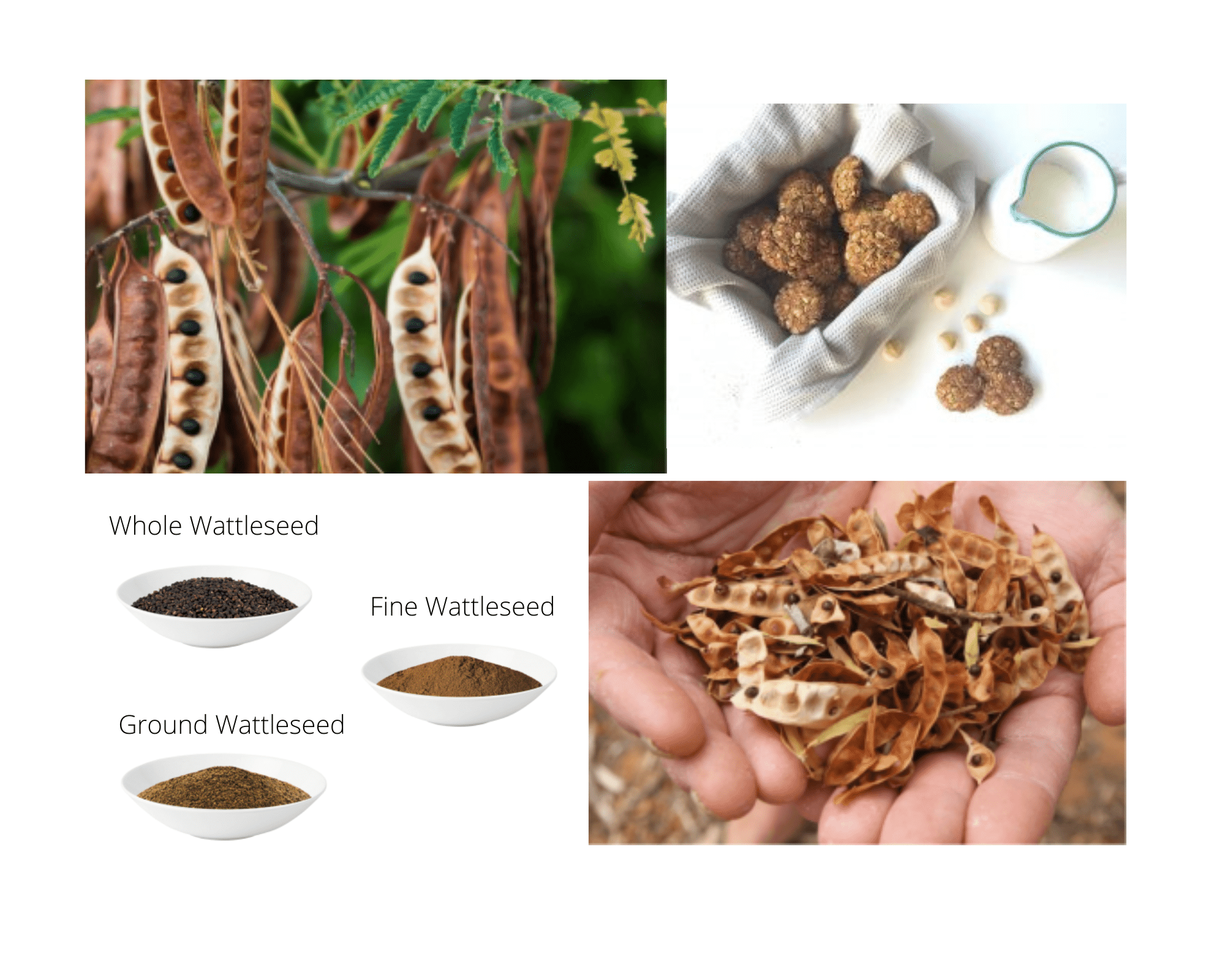 Fine Grind Roasted Wattleseed Blend - 250g