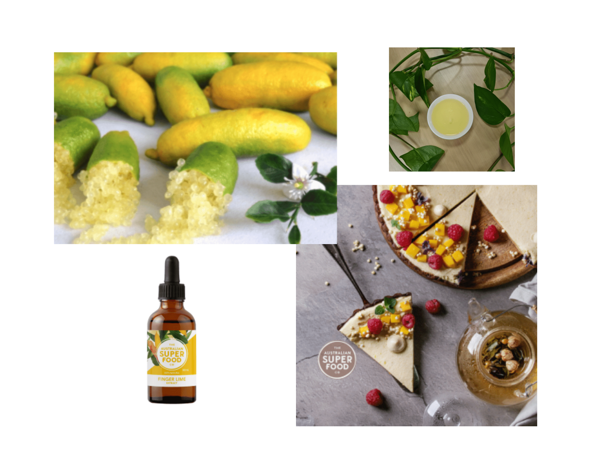 Finger Lime Extract 1:2 - 50ml