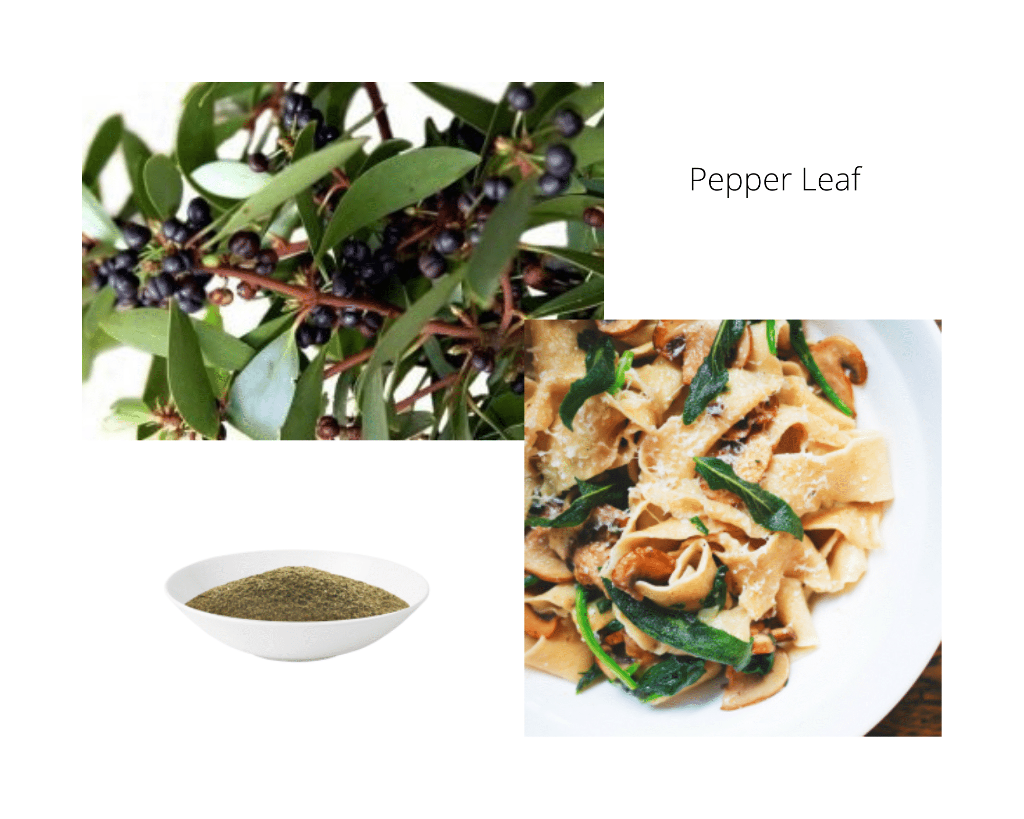 Fine Mountain Pepper Leaf - 20g
