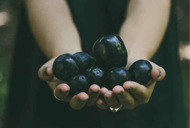 Freeze Dried Davidson Plum - 80g