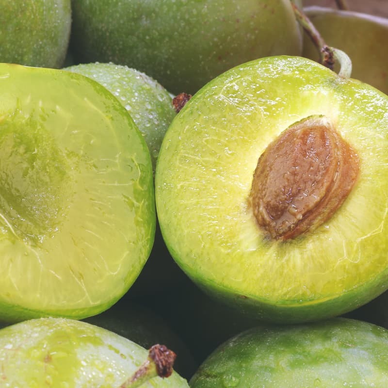 Kakadu Plum Native Syrup 1:2 - 500ml